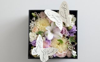 [CANCELLED] Spring Garden Box and Calligraphy 