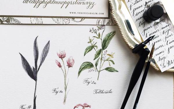 Basic Calligraphy & Botanical Drawing